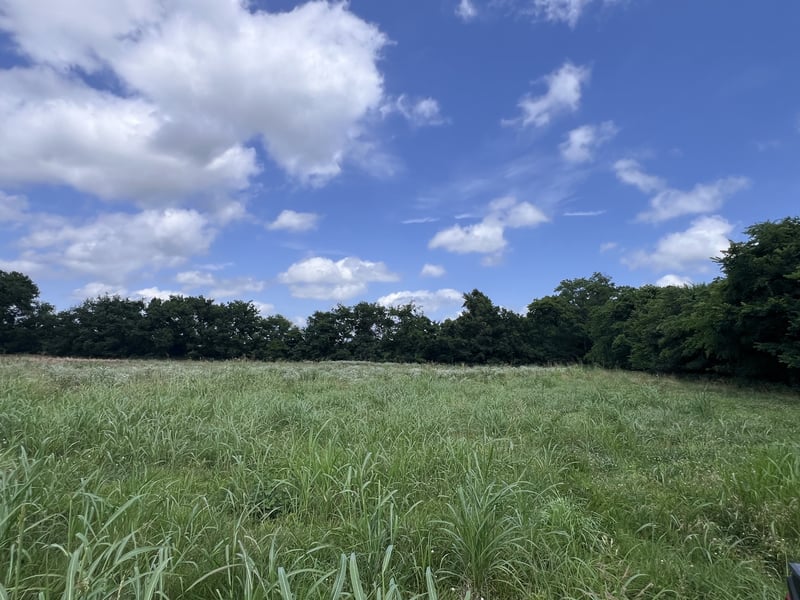 0 Beech Log Rd, Watertown, TN 37184