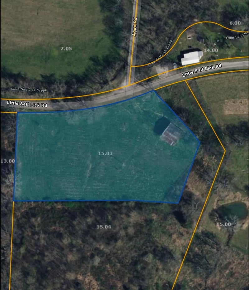 0 Little Salt Lick Rd, Carthage, TN 37030