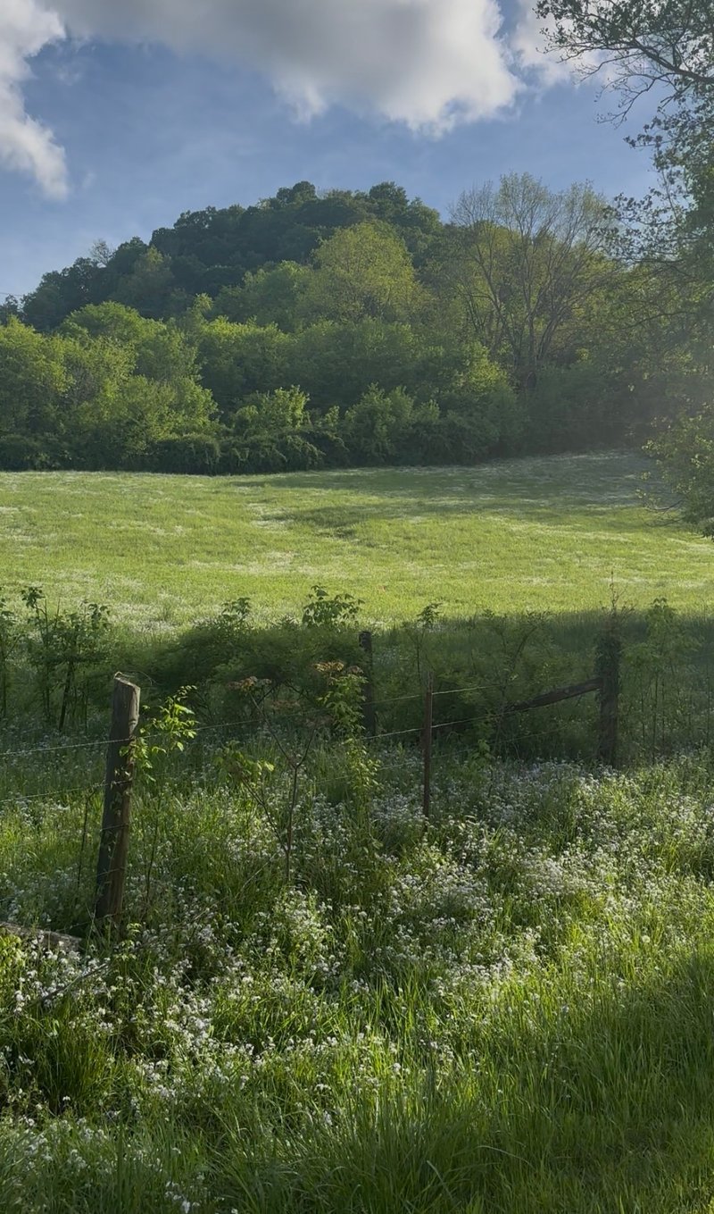 0 Little Salt Lick Rd, Carthage, TN 37030