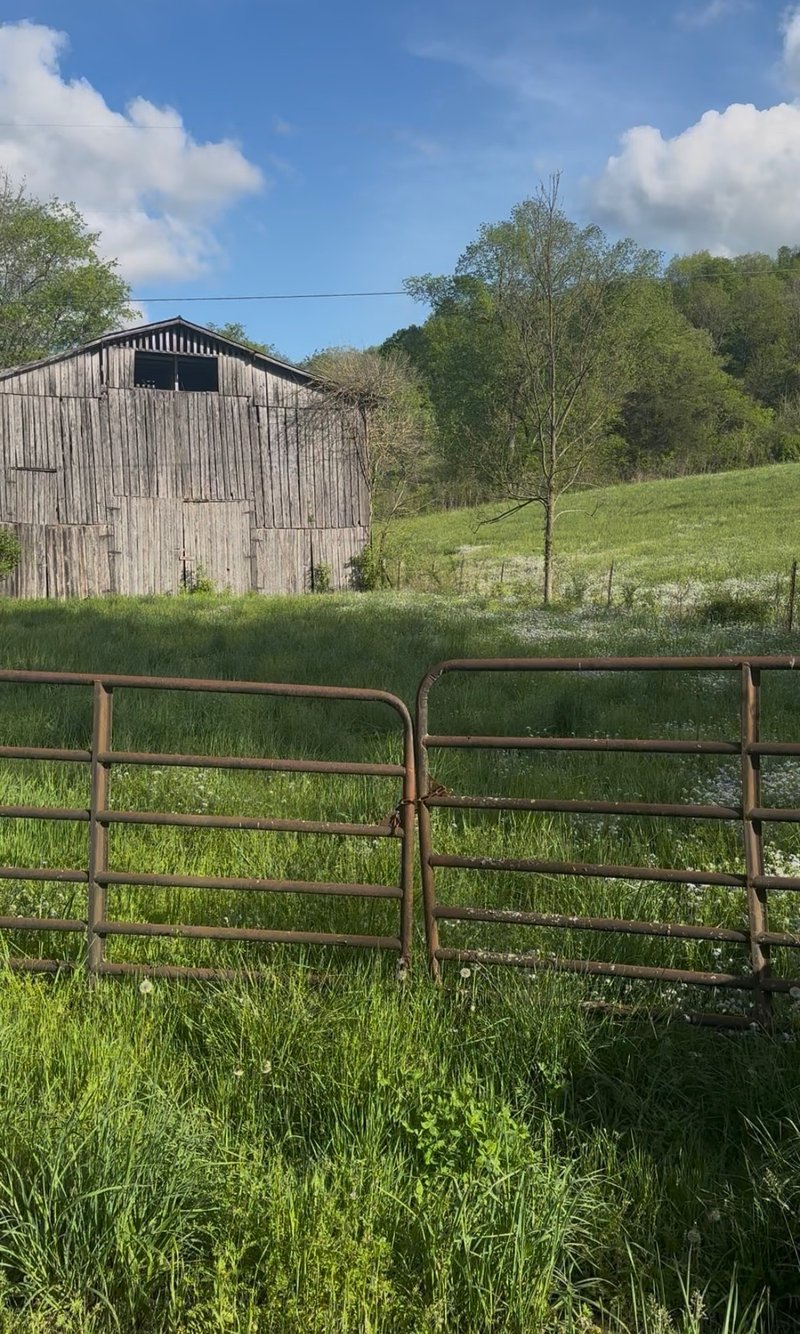 0 Little Salt Lick Rd, Carthage, TN 37030