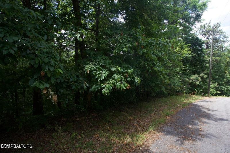7 Shagbark Hickory Rg Lot 7B, Sevierville, TN 37862