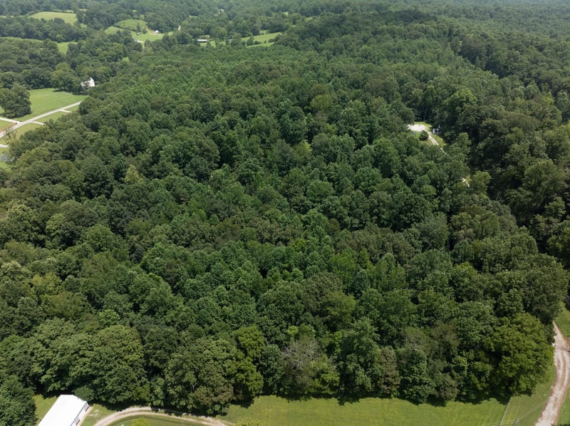 0 Hwy 48 North, Charlotte, TN 37036
