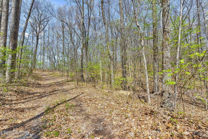 125 Settlers View Ln Lot 125E, Sevierville, TN 37862