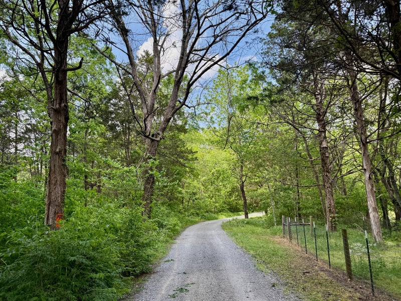1933B Chicken Rd, Lebanon, TN 37090