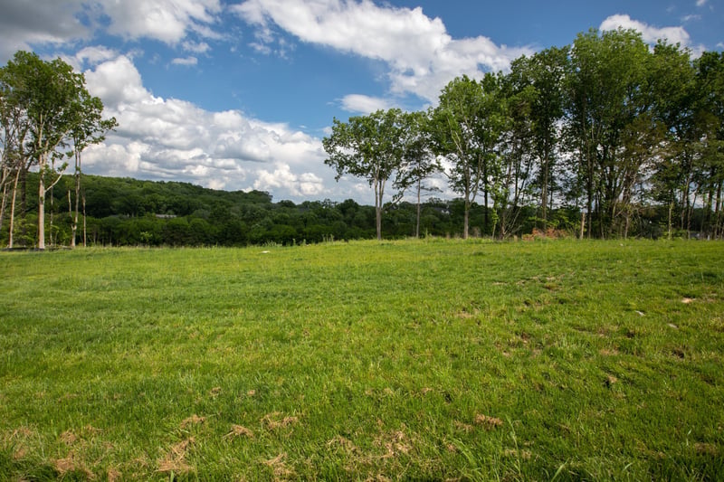 8749 Weller Ln, College Grove, TN 37046