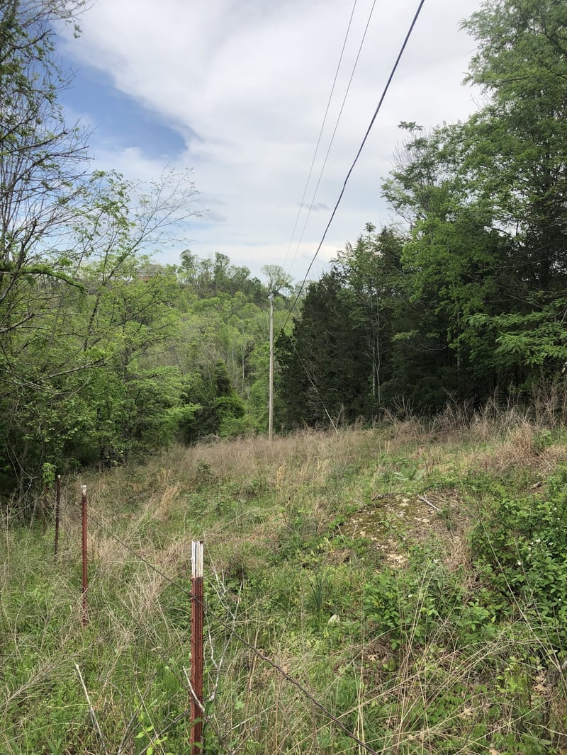 0 Old Highway 99, Columbia, TN 38401