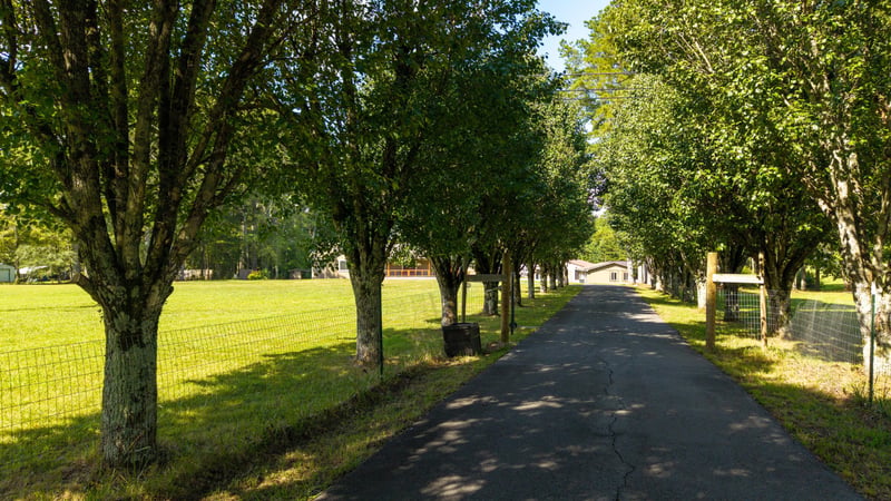 3765 Mount Pleasant Rd NE, Dalton, GA 30721