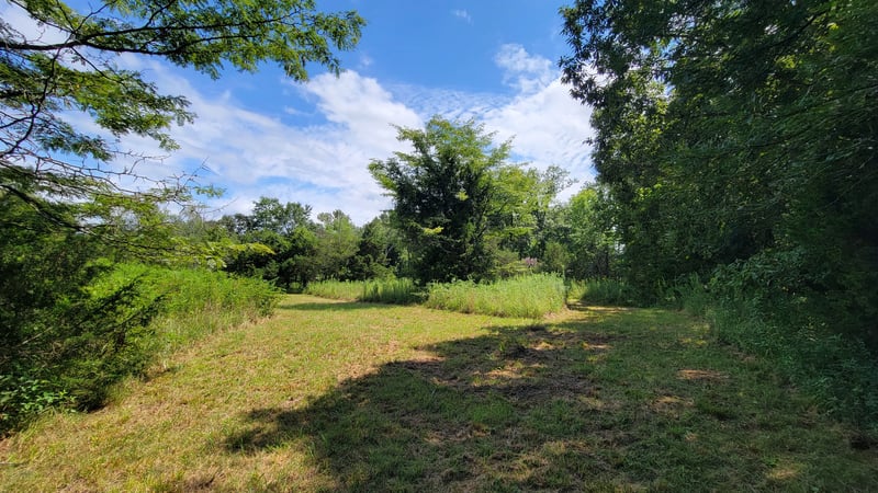 0 Murray Kittrell Rd Lot 3, Readyville, TN 37149