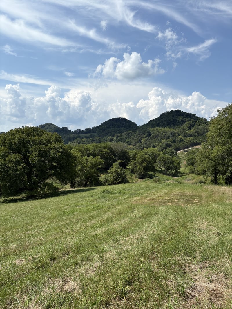 0 Kempville Hw, Carthage, TN 37030