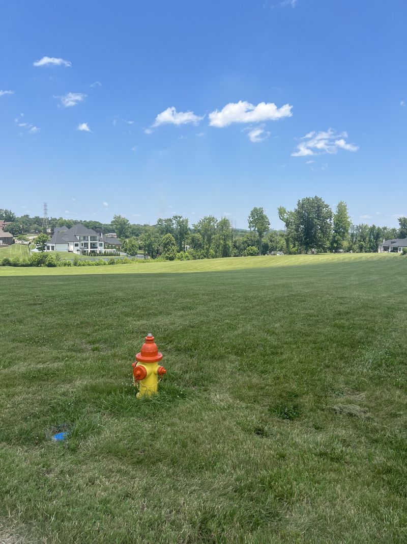 1402 Fairview Dr, Mount Juliet, TN 37122