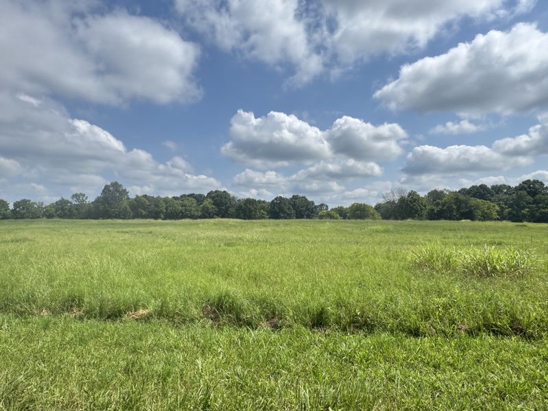 0 Patrick St, Lebanon, TN 37087