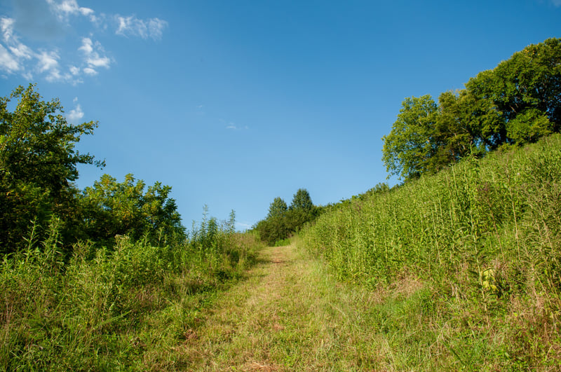 0 Nabors Hollow Ln, Hickman, TN 38567