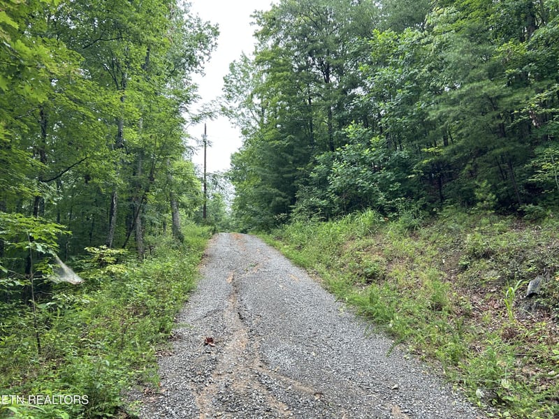 0 Black Oak Dr Lot 35, Sevierville, TN 37876