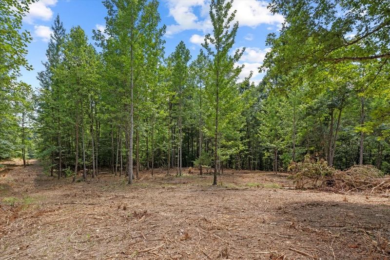 0 Upper Creek Rd Lot 3-4, Vanleer, TN 37181