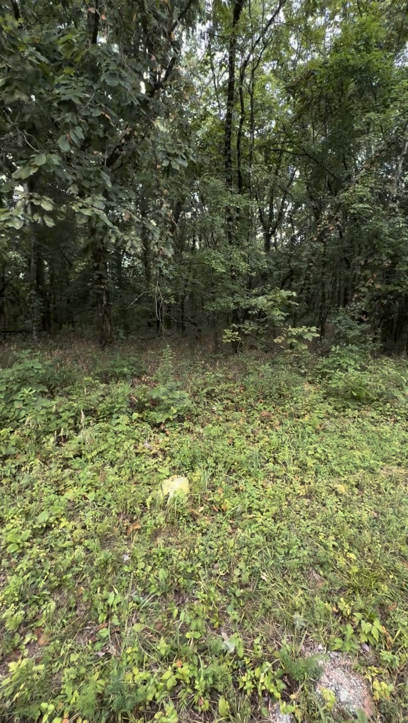 6468 Arno College Grove Rd, College Grove, TN 37046