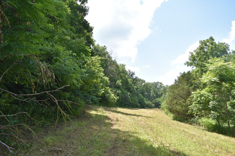 0 Nascar Ln Lot 2, Pleasant Shade, TN 37145