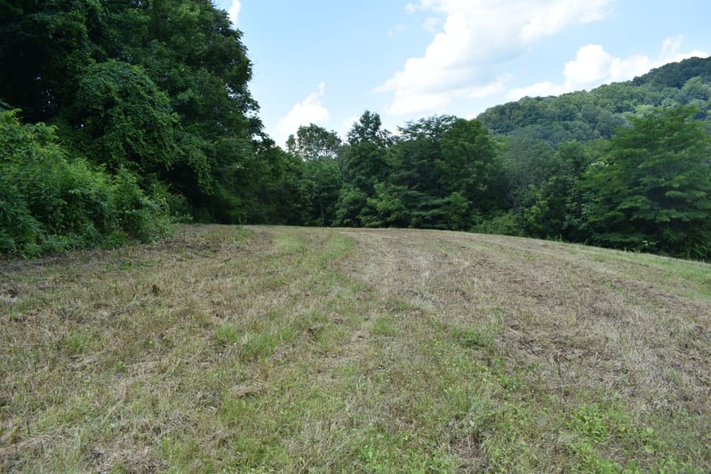 0 Nascar Ln Lot 2, Pleasant Shade, TN 37145