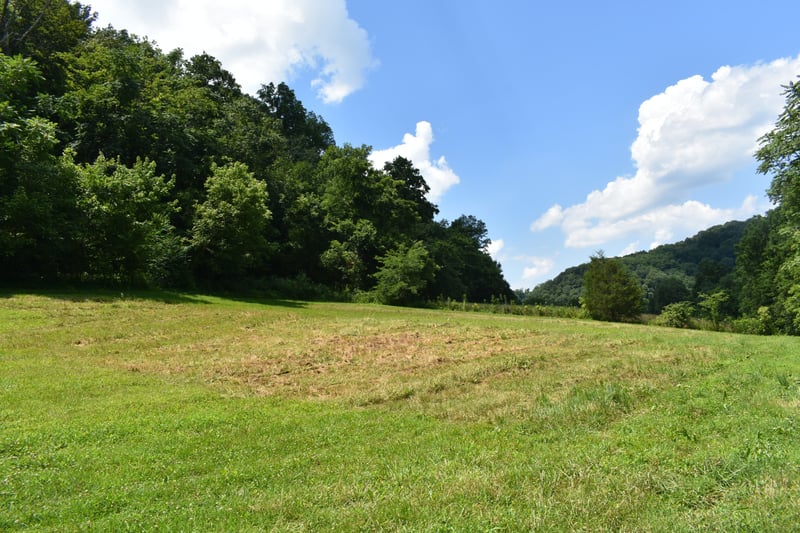 0 Nascar Ln Lot 2, Pleasant Shade, TN 37145