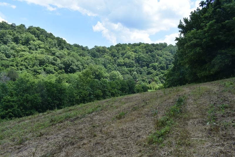 0 Nascar Ln Lot 2, Pleasant Shade, TN 37145