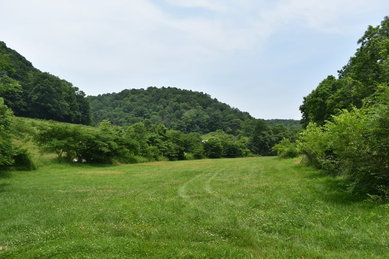 0 Nascar Ln, Pleasant Shade, TN 37145