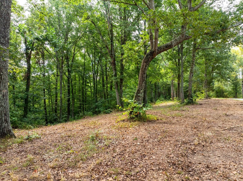 0 Apache Trl, Pegram, TN 37143