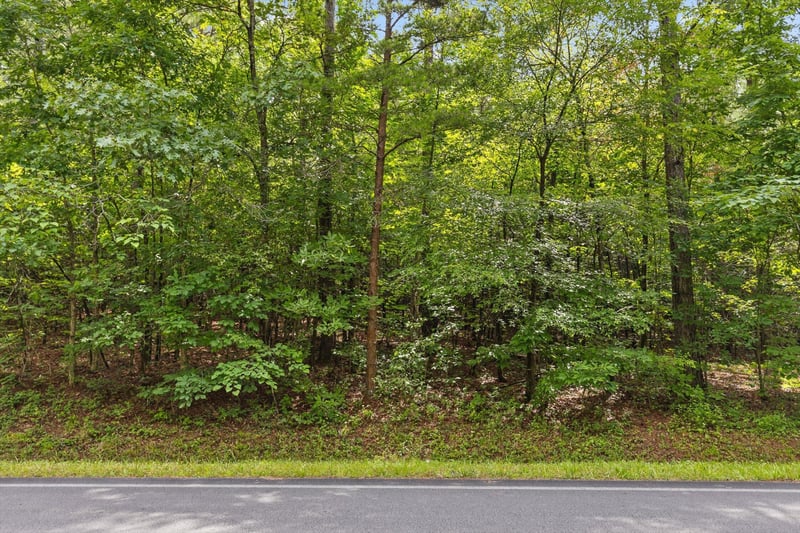 41 Conniston Rd, Chatsworth, GA 30705