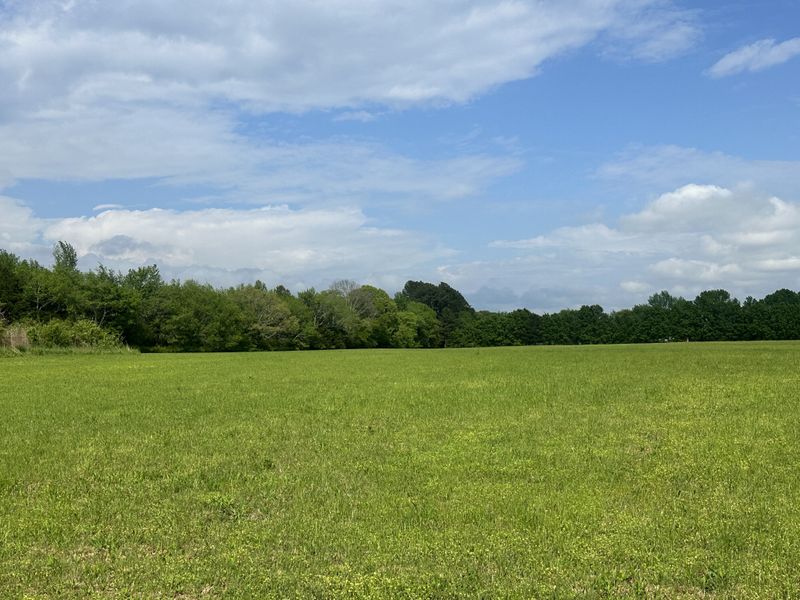 0 Tillman Mill Rd, Athens, AL 35614