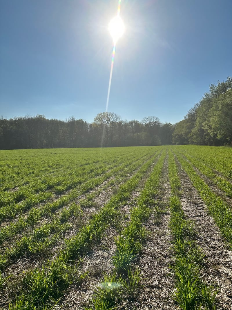 4832 Hwy 31w, Cottontown, TN 37048