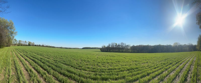 4832 Hwy 31w, Cottontown, TN 37048