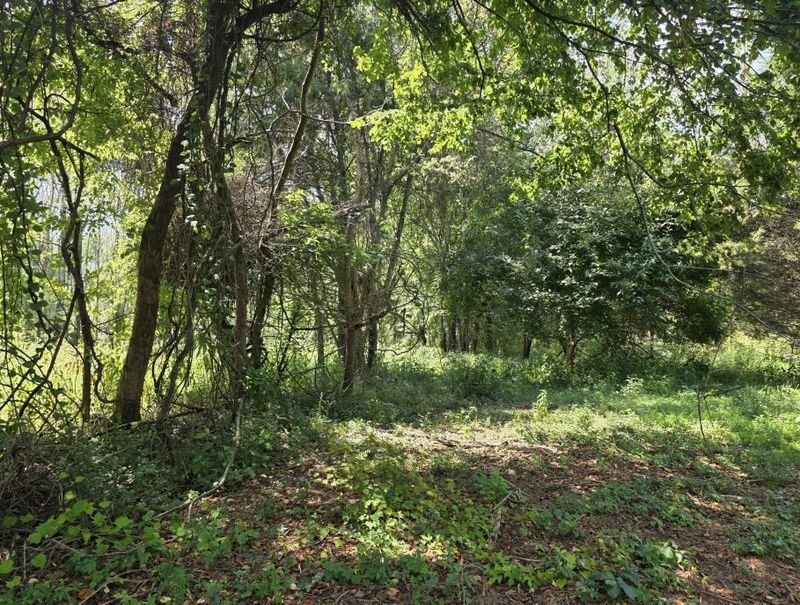 0 Darrell Dr, Murfreesboro, TN 37128