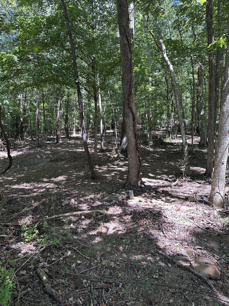 3881 Knight Dr, Whites Creek, TN 37189