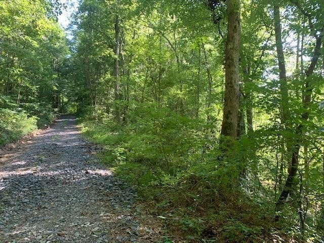 47 Crow Rd, Dalton, GA 30721