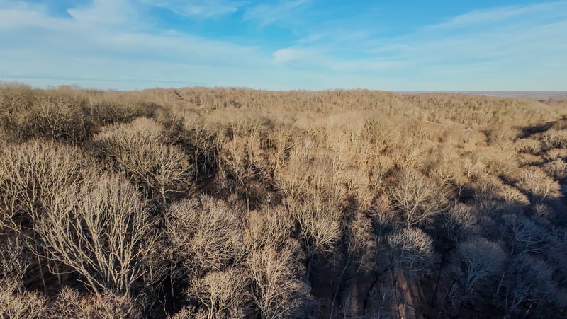 1843D Garrison Branch Rd Lot 2&3, Cottontown, TN 37048