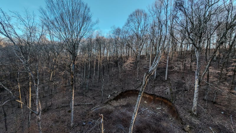 1843D Garrison Branch Rd Lot 2&3, Cottontown, TN 37048