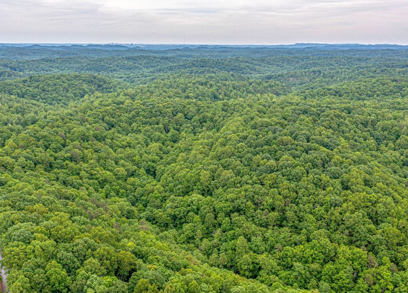 0 Old Pond Creek Rd, Pegram, TN 37143
