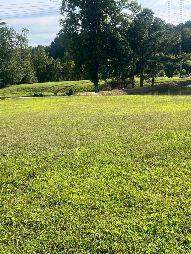 87 Peavine Rd, Ringgold, GA 30736