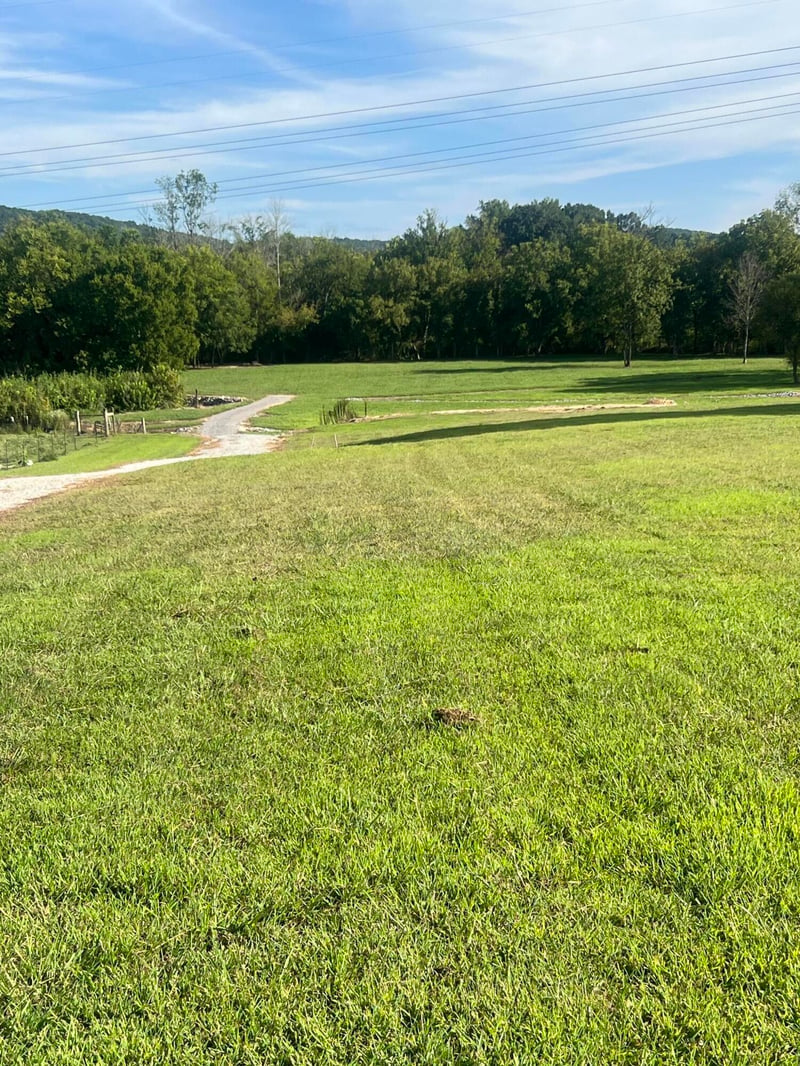 87 Peavine Rd, Ringgold, GA 30736