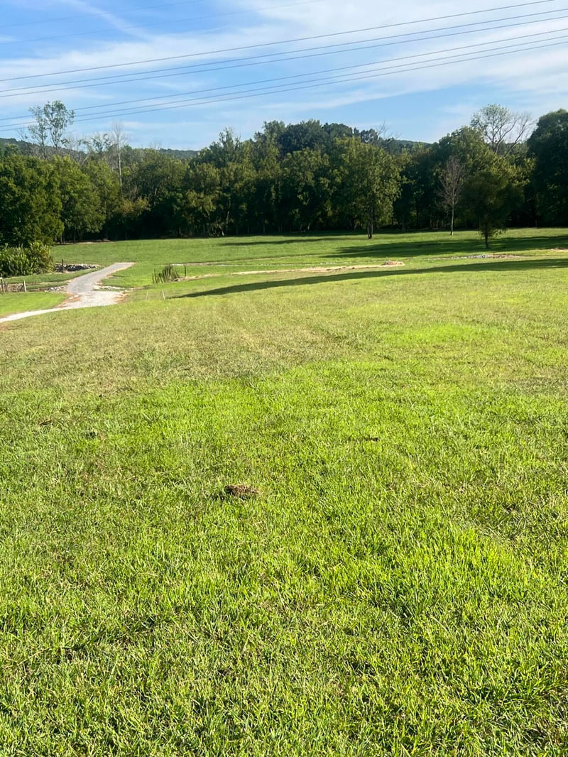 87 Peavine Rd, Ringgold, GA 30736