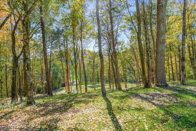 5362 Parker Branch Rd, Franklin, TN 37064