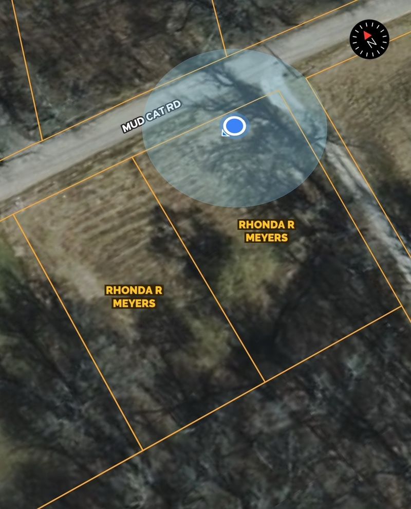 3239 Mud Cat Rd, Cedar Hill, TN 37032