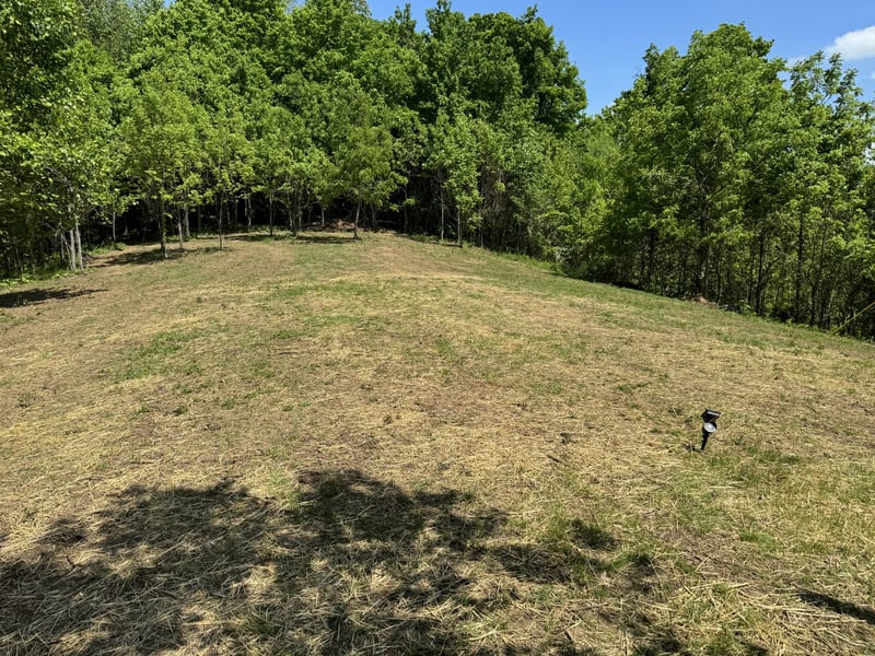 337 Carellton Dr, Gallatin, TN 37066