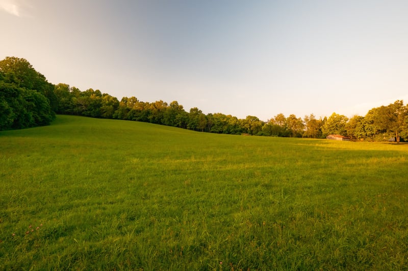 5956 N Lick Creek Rd, Franklin, TN 37064