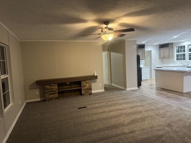 236 Wash Wilson Loop, Blue Ridge, GA 30513