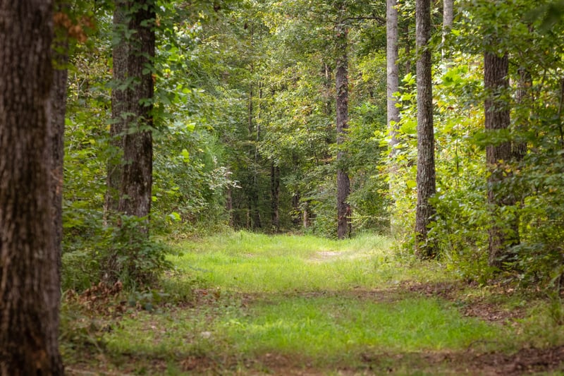1 Ccc Rd, Fairview, TN 37062