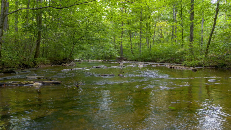 1 Ccc Rd, Fairview, TN 37062