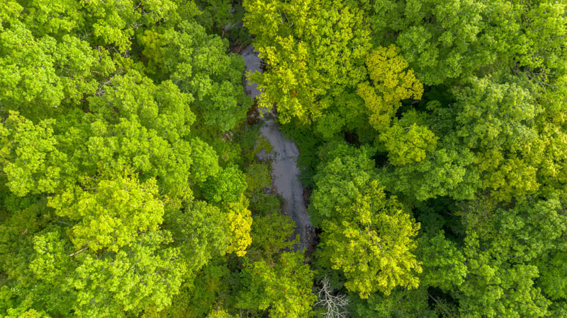 1 Ccc Rd, Fairview, TN 37062