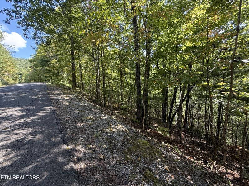 99 Black Powder Ln Lot 99E, Sevierville, TN 37862