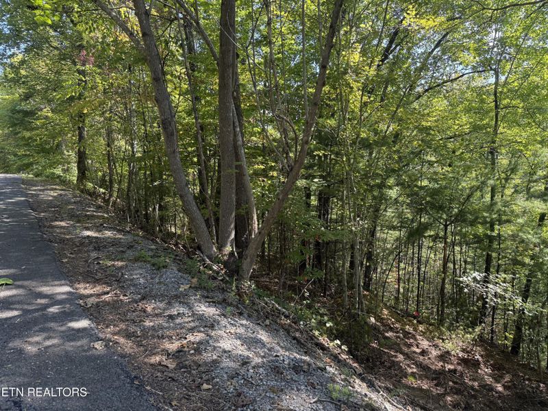99 Black Powder Ln Lot 99E, Sevierville, TN 37862