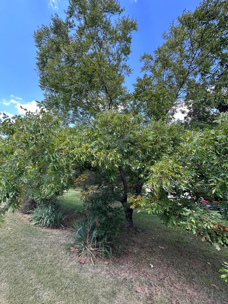 58 Old Cohutta Rd, Ringgold, GA 30736