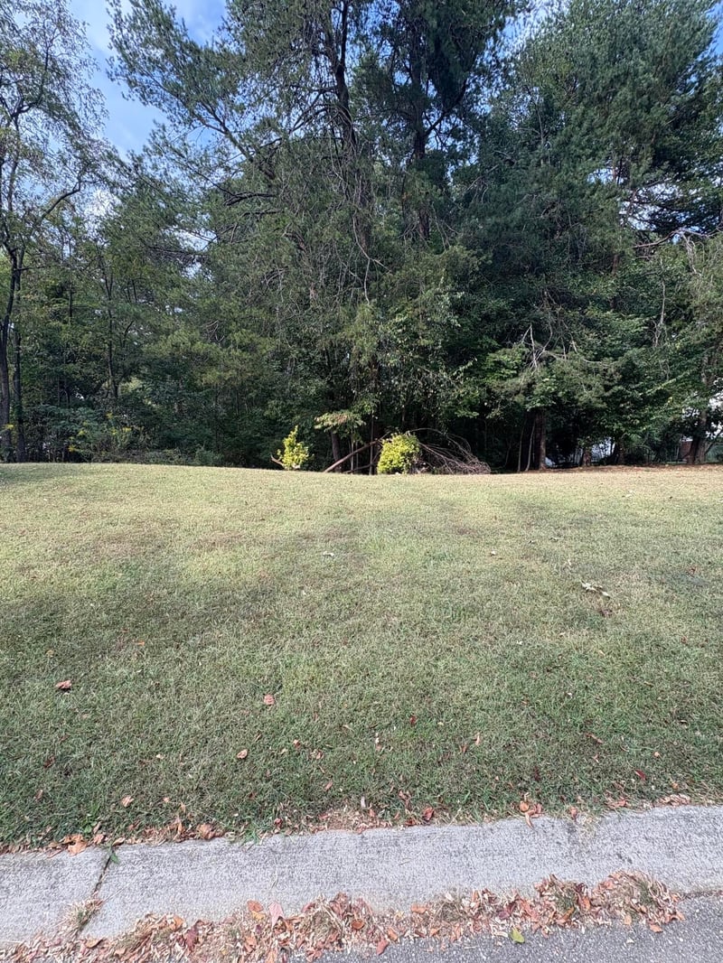 247 Dove Dr, Ringgold, GA 30736
